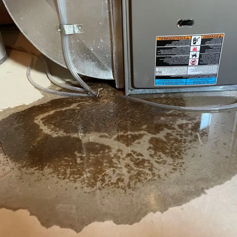 Pipe Burst and Leak Restoration in Sierra County, NM
